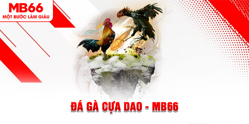 shbet800 đá gà sv388 gold