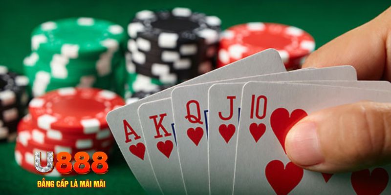 shbet800 đá gà trực tiếp thomo 67