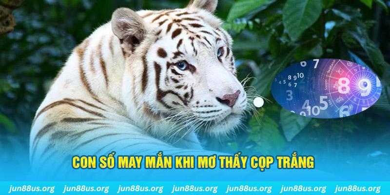 shbet800 đá gà trực tiếp 88